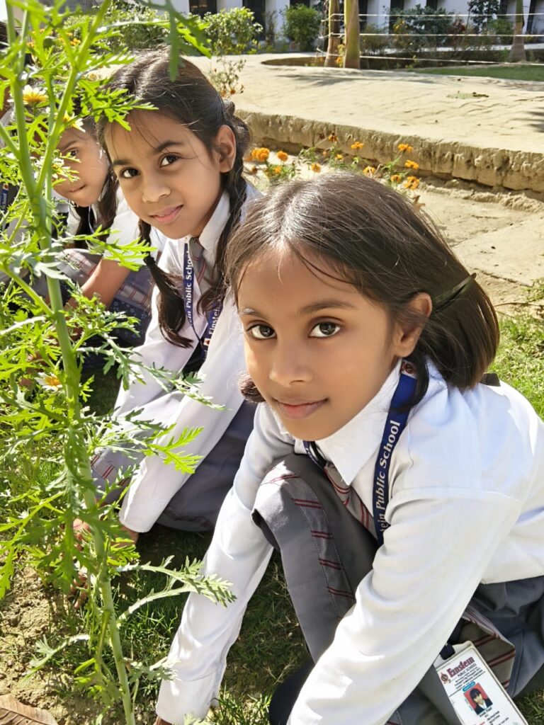 WhatsApp Image 2026-02-17 at 3.11.01 PM (2)