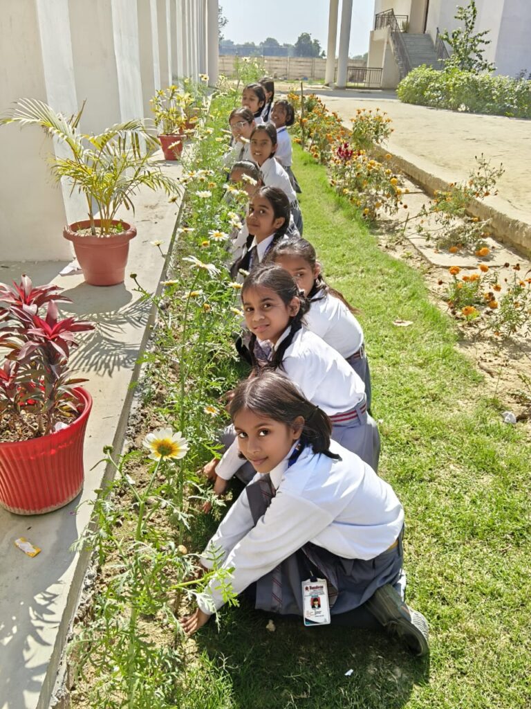 WhatsApp Image 2026-02-17 at 3.11.02 PM (1)