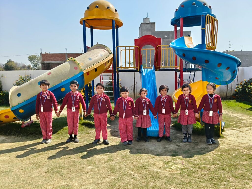 WhatsApp Image 2026-02-17 at 3.11.36 PM (1)