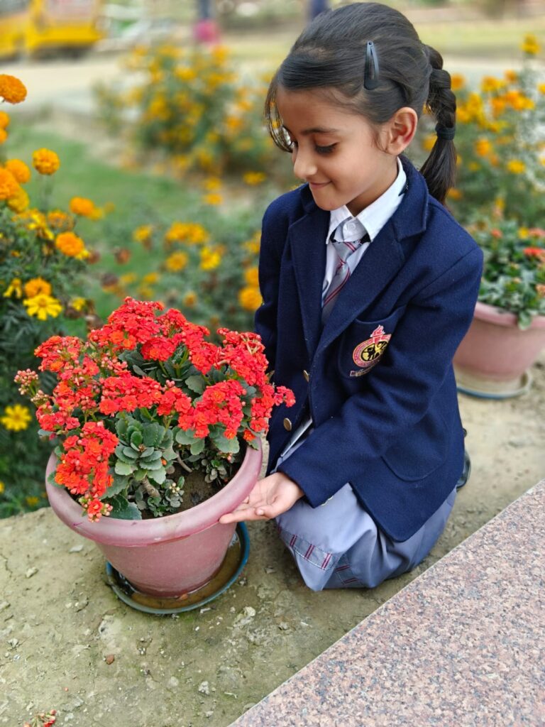 WhatsApp Image 2026-02-20 at 1.58.14 PM (1)