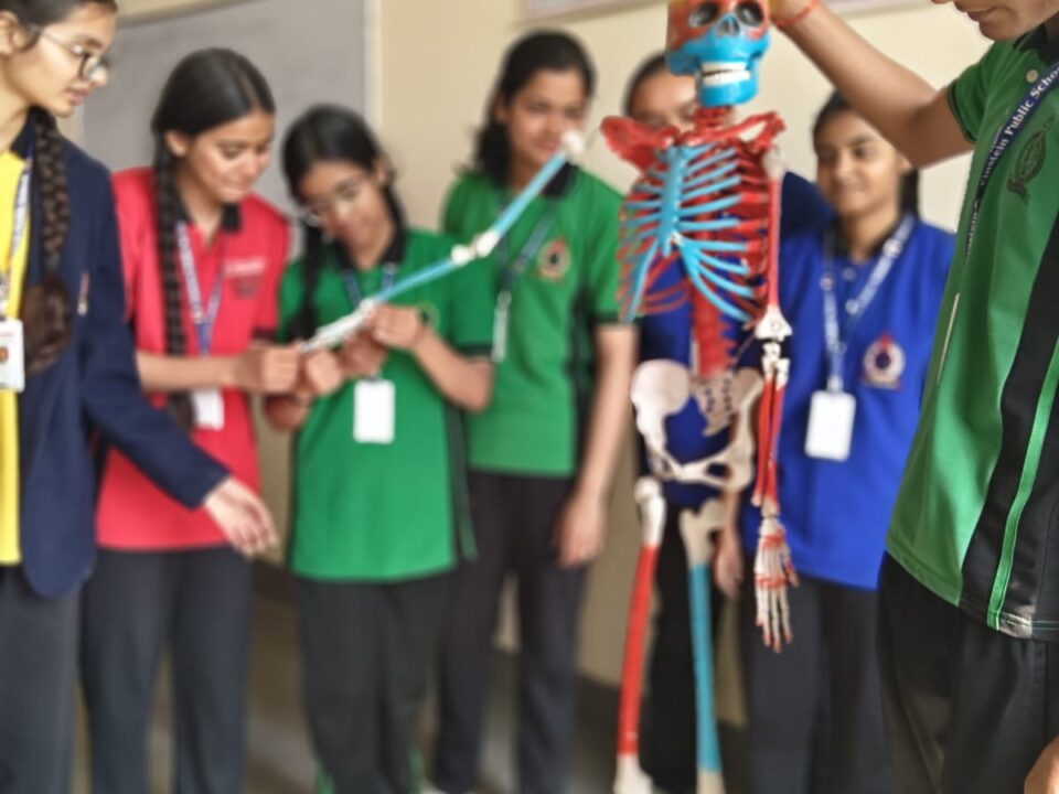 WhatsApp Image 2026-02-21 at 3.29.13 PM (1)