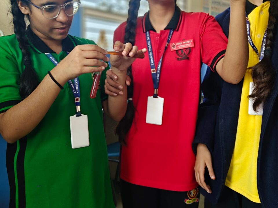 WhatsApp Image 2026-02-21 at 3.29.14 PM (1)