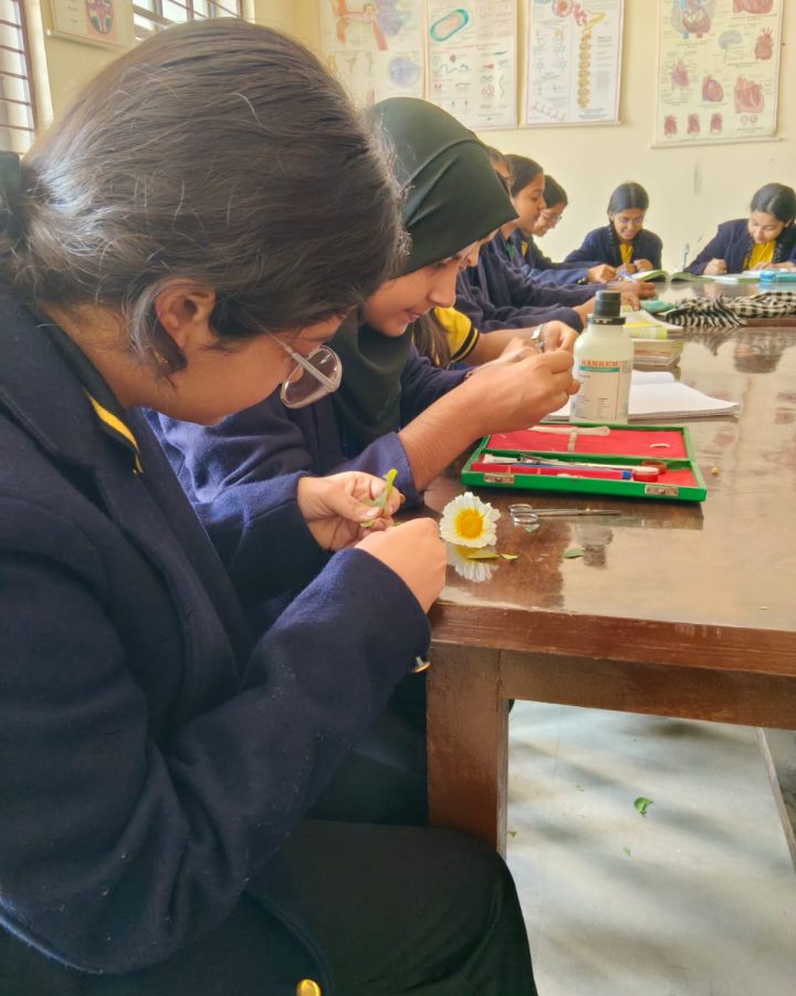 WhatsApp Image 2026-02-20 at 2.13.47 PM