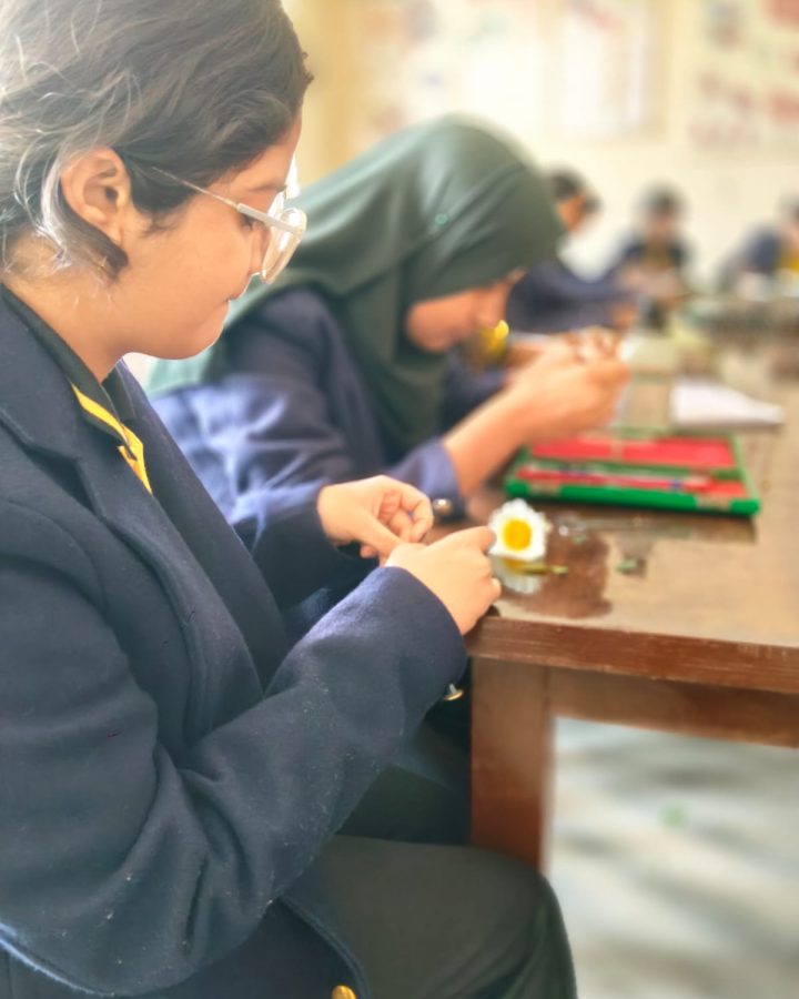 WhatsApp Image 2026-02-20 at 2.13.48 PM (1)